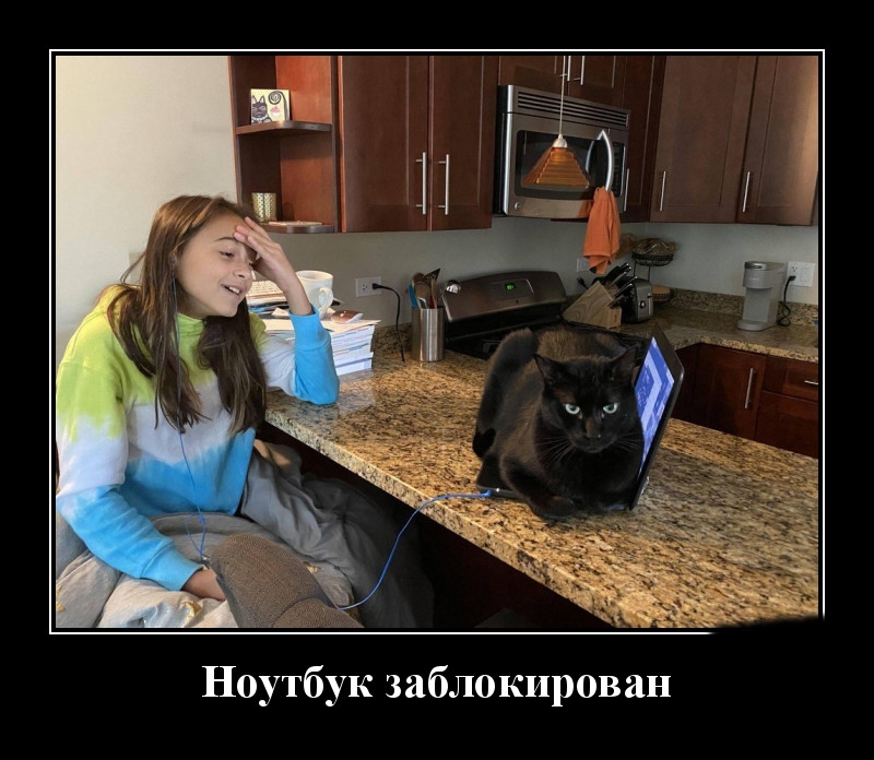 Podborka luchshikh demotivatorov 530 044